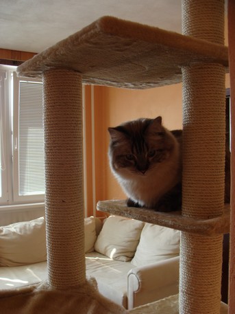 DSC01111.JPG