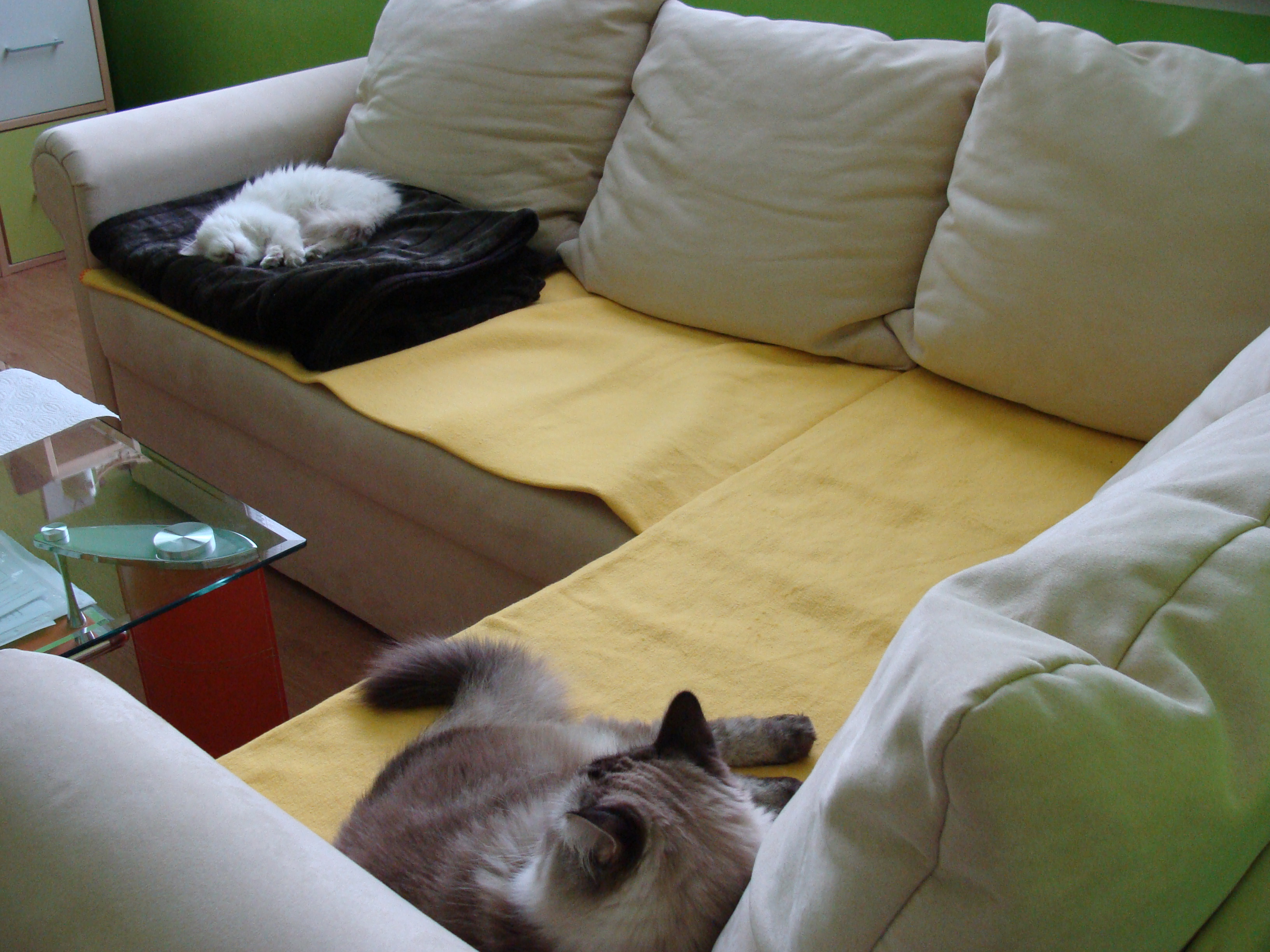 DSC01574.JPG