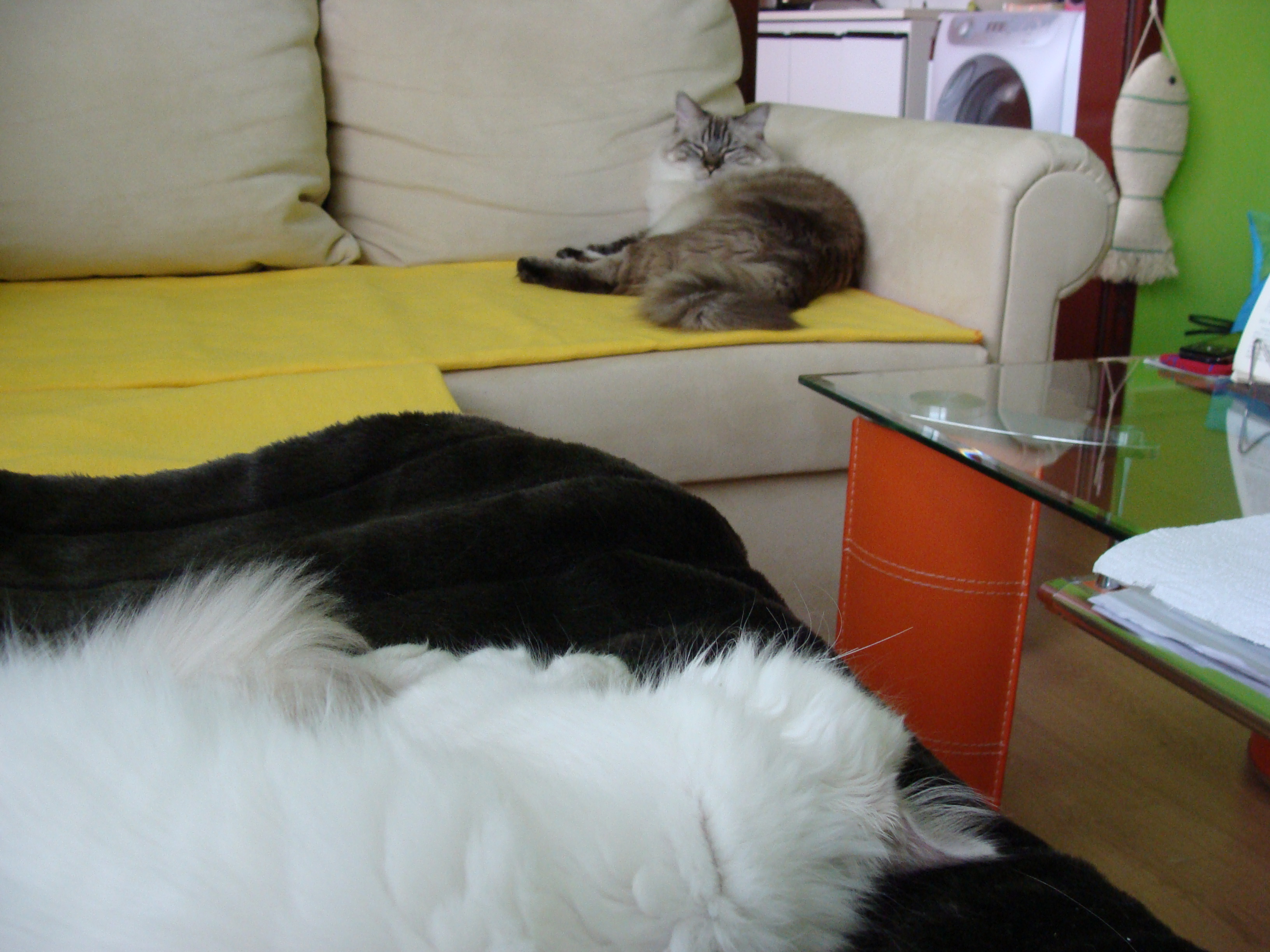 DSC01580.JPG