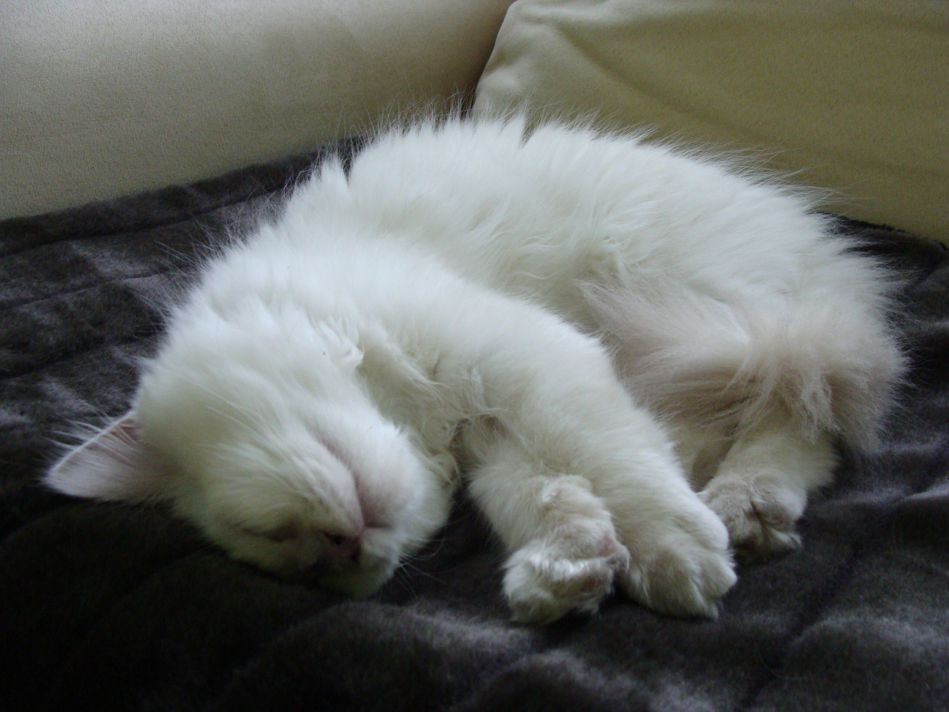 DSC01573.JPG