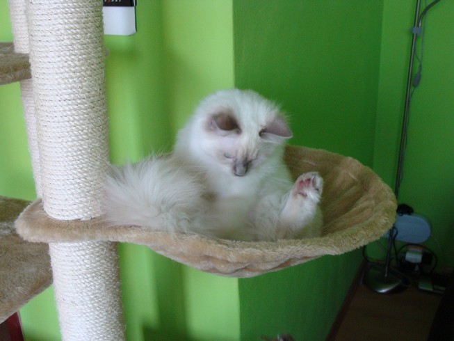 DSC01815.JPG